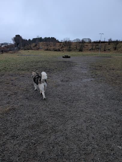 Brynes Vel Hundeluftingsområde