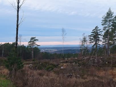 Norsk Retrieverklubb avd. Østfold