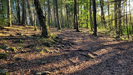 Sørmarka hundeluftingsområde