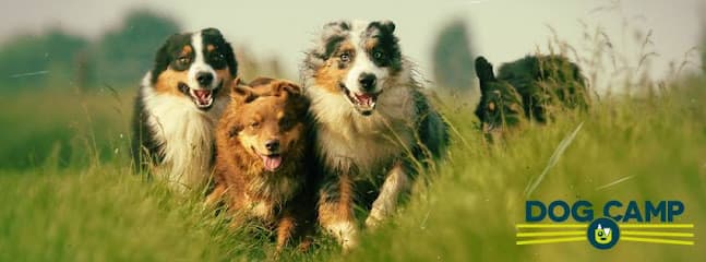 Dog Camp Hundehotell / Hundepensjonat