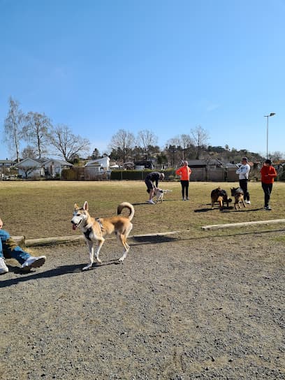 Sandefjord Hundepark