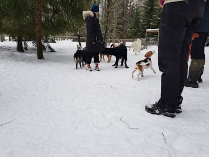Hundehjørnet