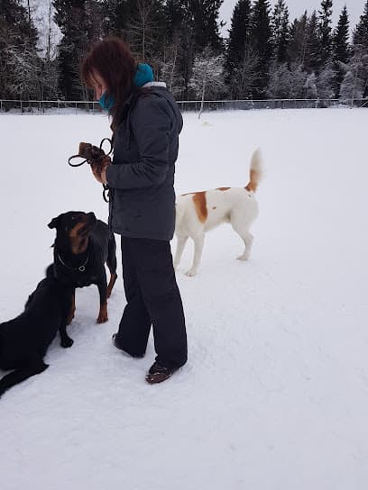 Saupstad Hundepark (kommunal)