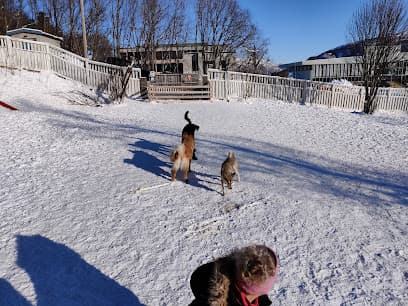 Narvik hundepark