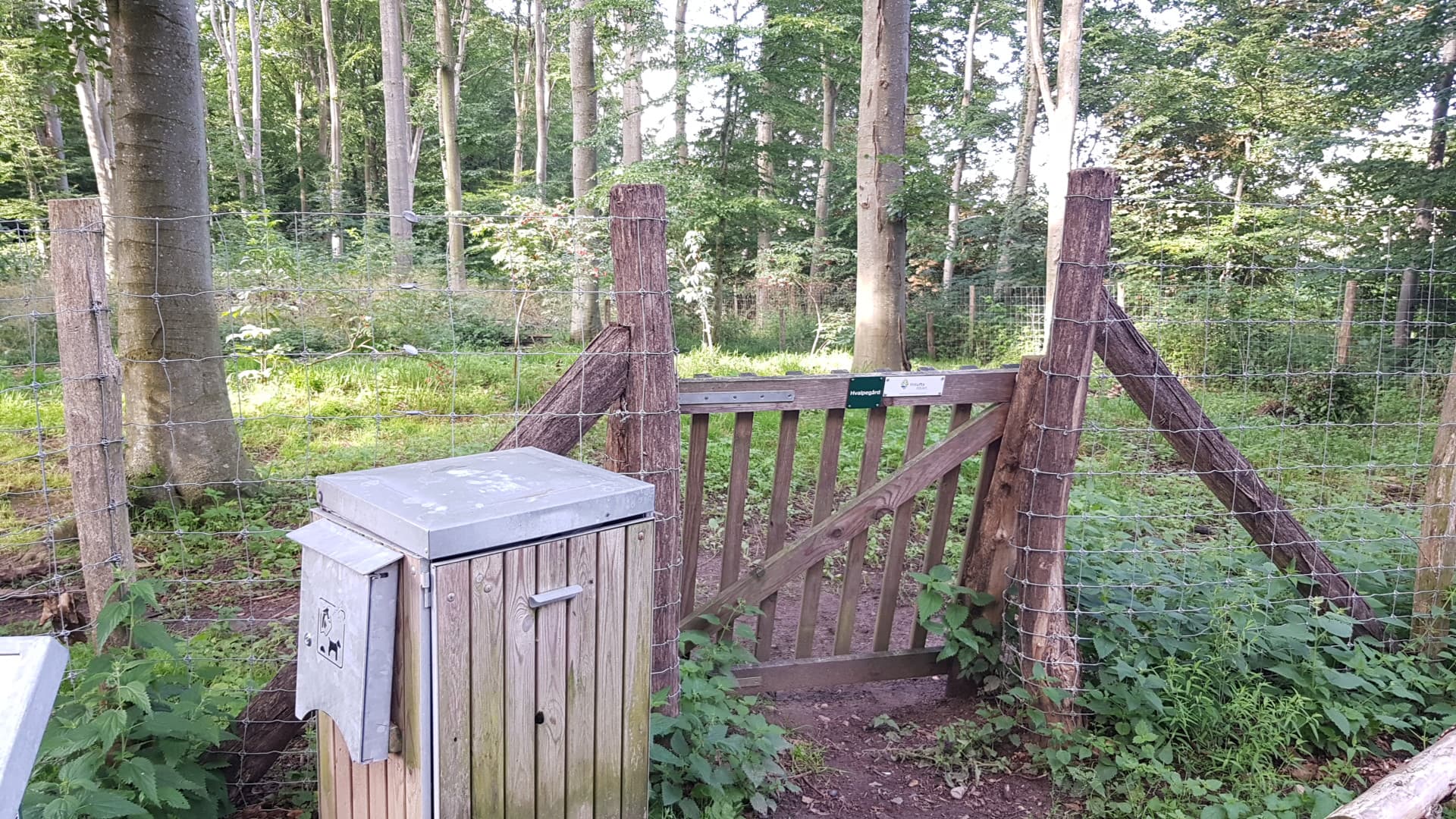 Hundepark, friområde og merket slipp: hva skiltene i Norge betyr